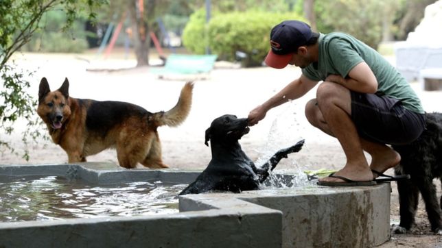 la pregunta que se hacen los platenses ¿cuando termina la ola de calor?