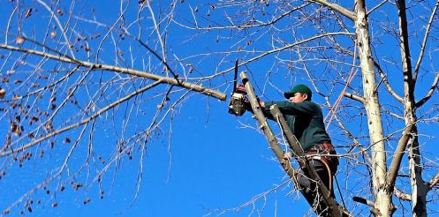 1592251622613.jpg?oh=341&scaleY=1&ow=512&x=3&y=28&width=497&height=249&rotate=0&scaleX=1&&cw=1920&ch=950