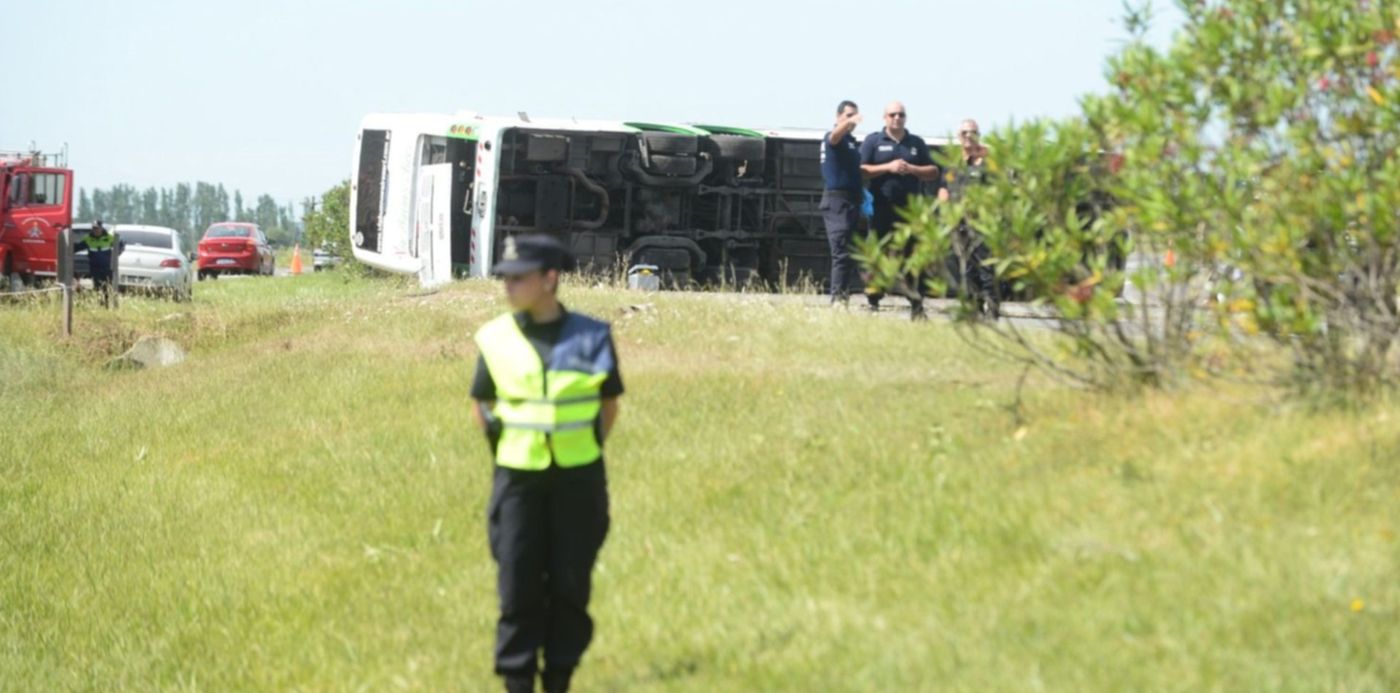 1574972832732.jpg?y=253&rotate=0&scaleX=1&x=7&width=1486&height=743&scaleY=1&ow=1500&oh=996&&cw=1920&ch=950