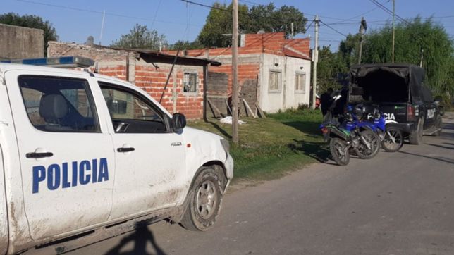 cayeron los monos, conocidos por su destreza para trepar y entrar a casas de la plata