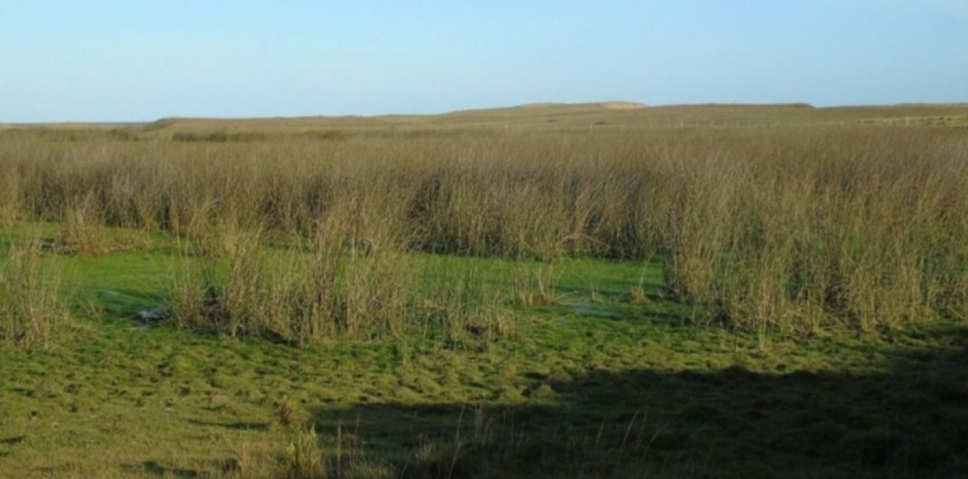 1583519445539.jpg?width=1190&height=595&scaleX=1&ow=1200&oh=802&x=7&y=132&rotate=0&scaleY=1&&cw=1920&ch=950