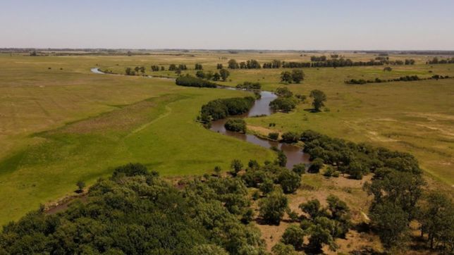 ¿cuales son los afluentes y las areas naturales protegidas por ordenanza en la plata?