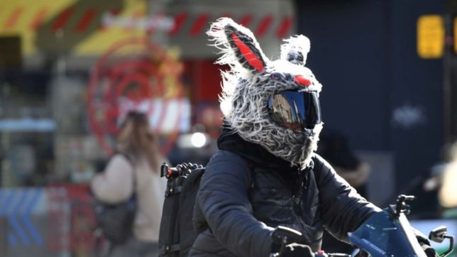 domingo helado y con temperaturas bajo cero: asi seguira el clima en la plata