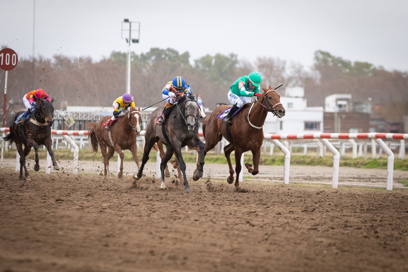 Hipódromo de La Plata (1)