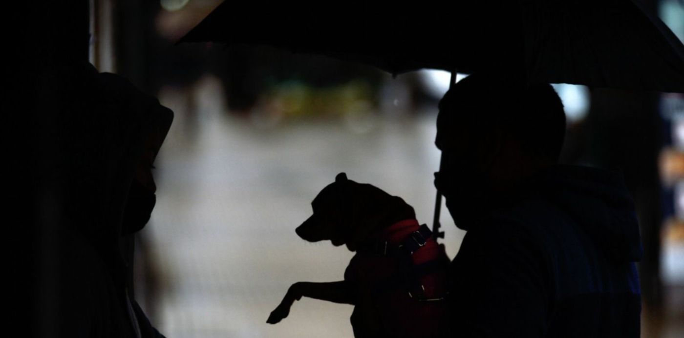 1598373758135.jpg?x=4&y=29&width=1492&height=746&rotate=0&scaleX=1&scaleY=1&ow=1500&oh=996&&cw=1920&ch=950