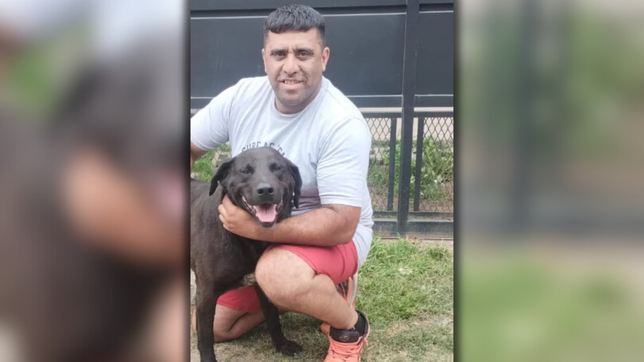 rescataron a un perro que fue herido de un escopetazo por un vecino en la plata