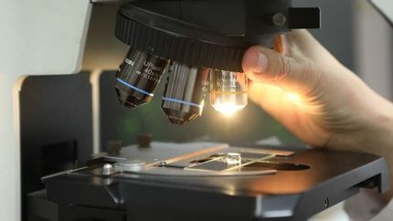 Financian proyectos científicos de la UNLP para resolver problemas sociales y productivos