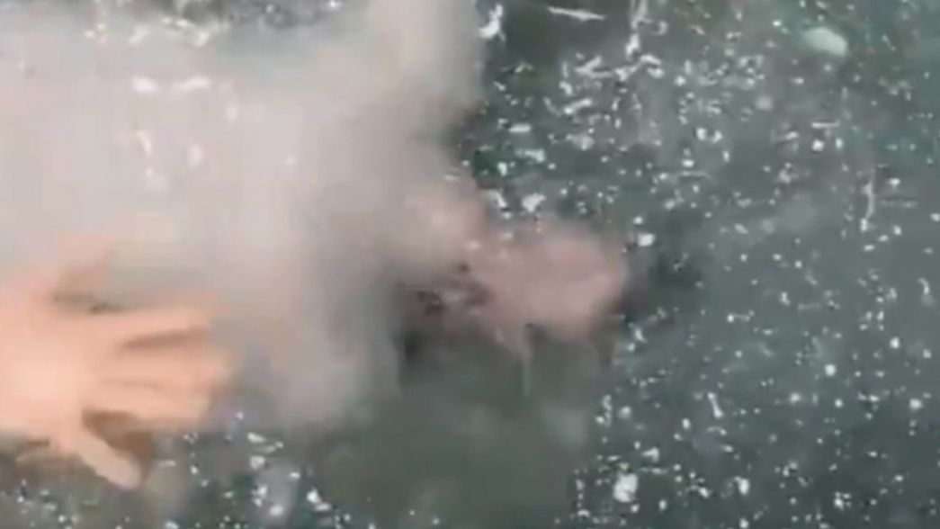 VIDEO: Casi muere ahogado en un lago congelado por no hallar la salida