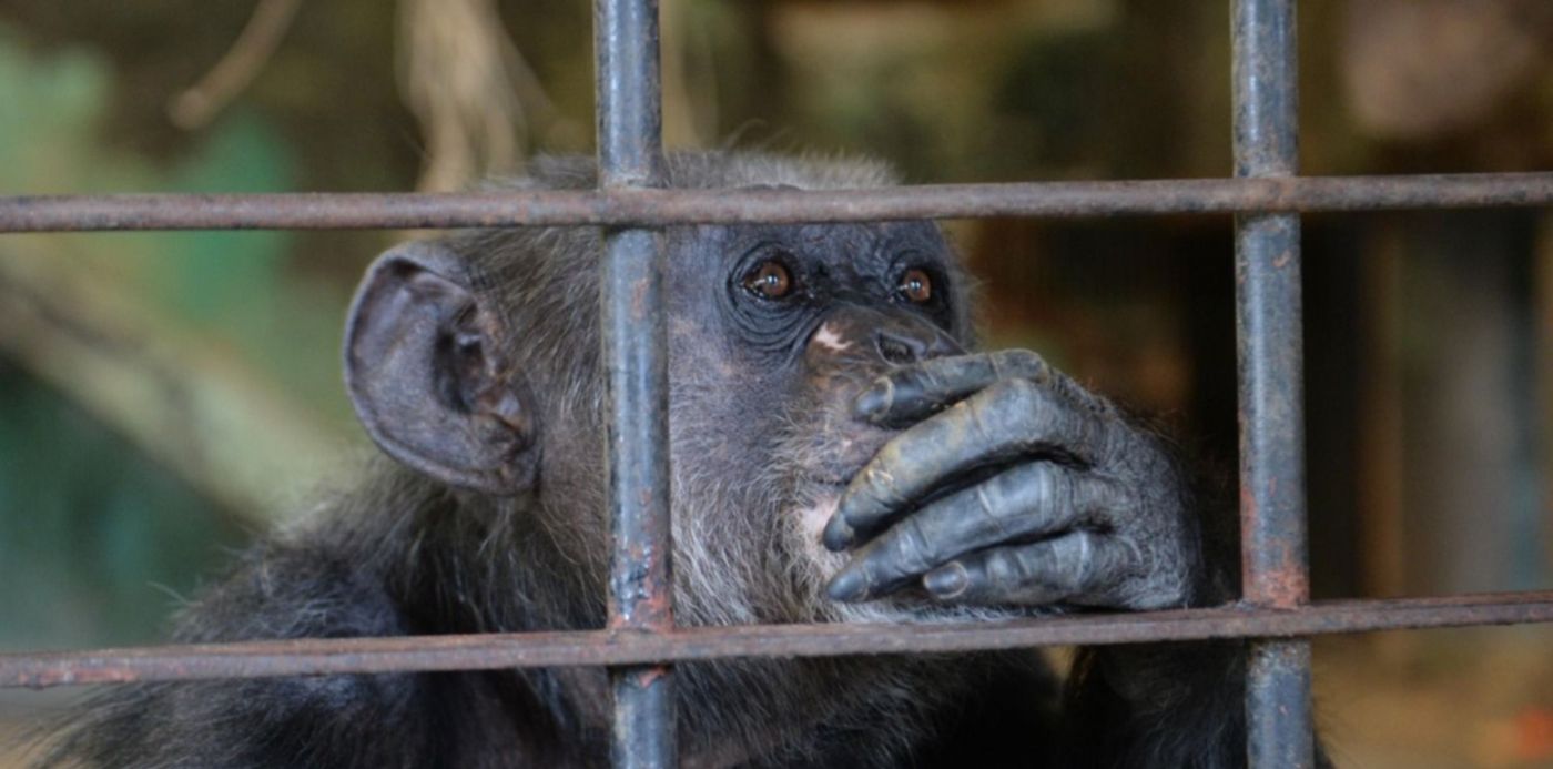 1569361260414.jpg?&cw=1920&ch=950