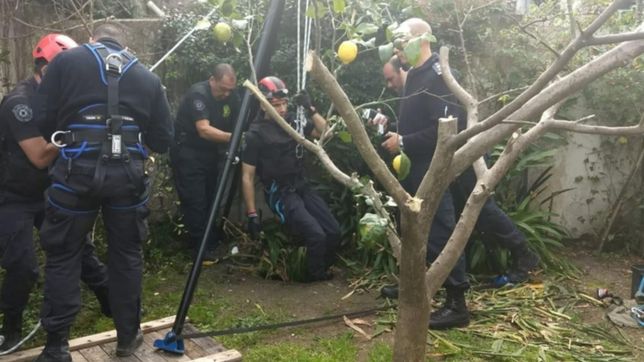 fracturada, con miedo y frio: las horas de terror de la abuela que cayo a un pozo ciego