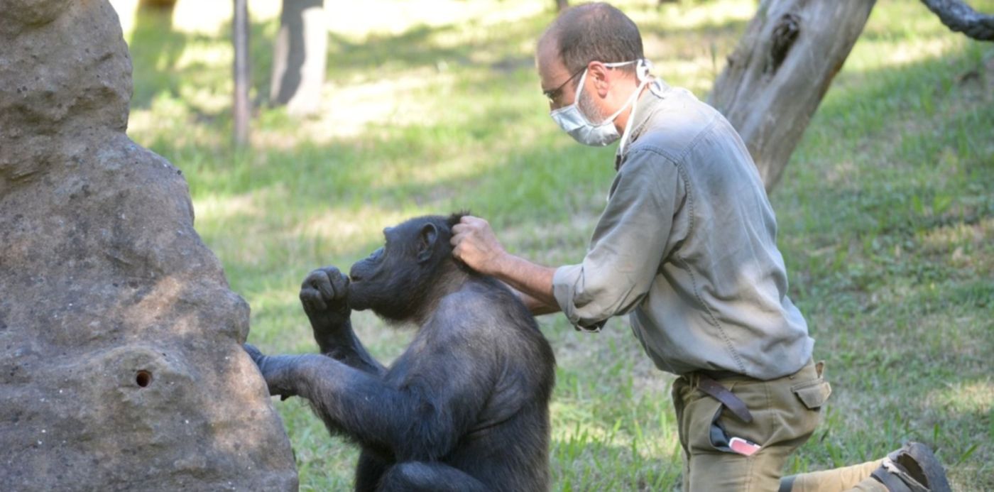 1585009225849.jpg?width=1496&scaleY=1&ow=1500&oh=998&x=4&y=93&scaleX=1&height=748&rotate=0&&cw=1920&ch=950