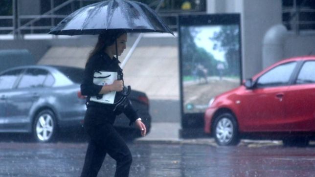 ¿como seguira el clima en la plata hasta el fin de semana?