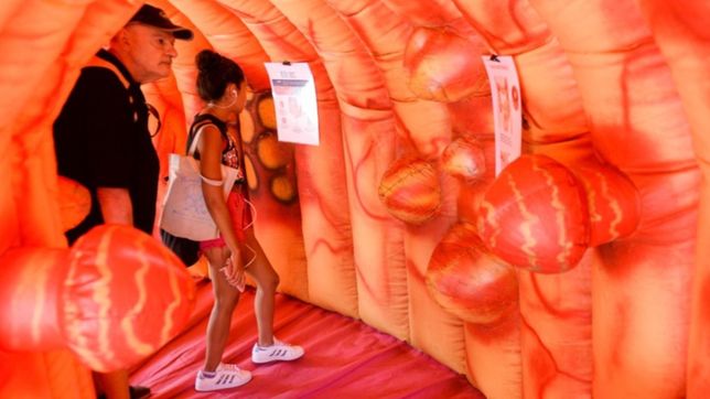 plaza moreno fue el escenario de una jornada de lucha contra el cancer de colon