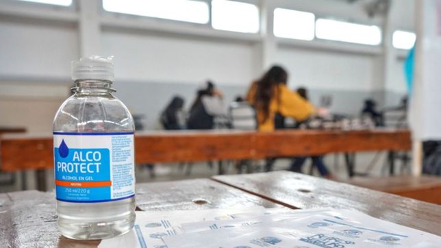 turnos, entrega de material y alimentos: asi es el protocolo para practicas presenciales