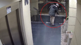rompio la puerta de un edificio centrico y ataco un auto en la cochera