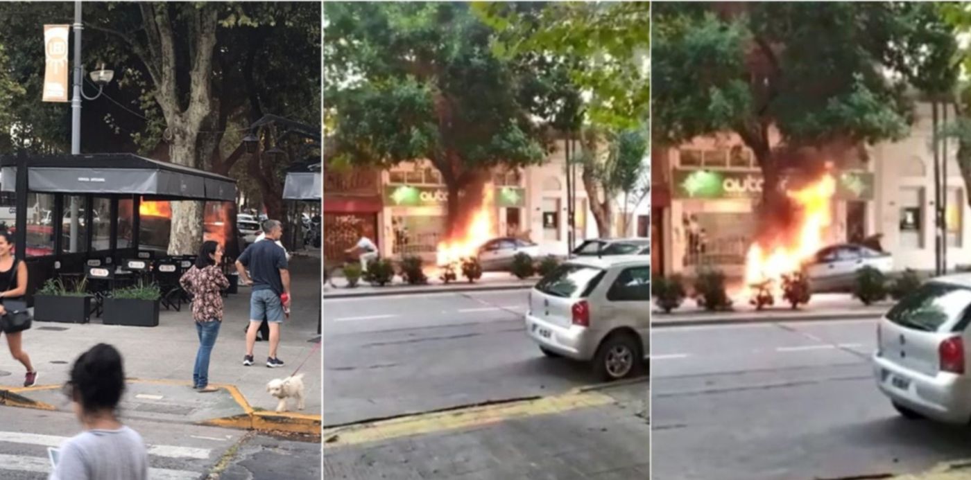 1583191913711.jpg?scaleY=1&ow=1500&oh=742&width=1484&y=0&height=742&rotate=0&scaleX=1&x=10&&cw=1920&ch=950