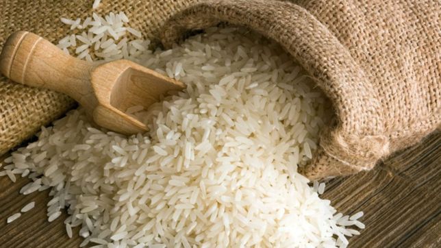 investigacion platense descubre que un tipo de arroz local tiene mas proteinas que otros