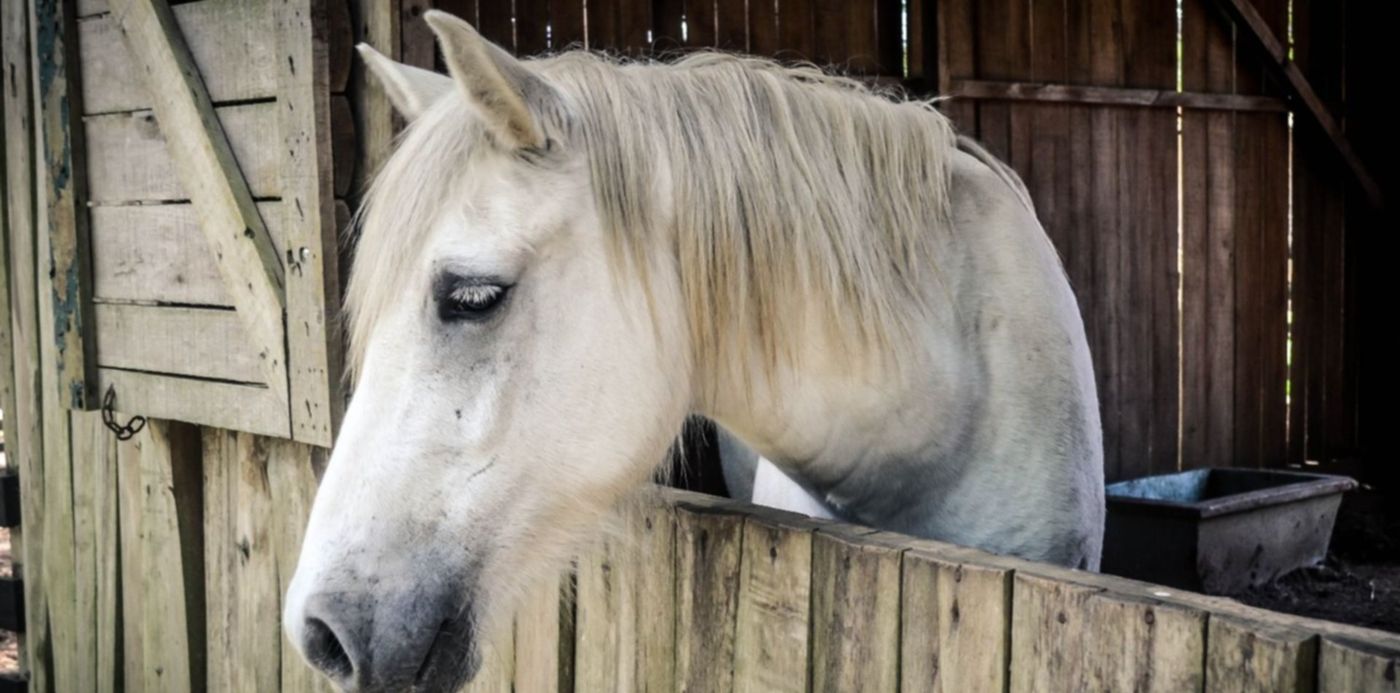 1529693514386.jpg?&cw=1920&ch=950