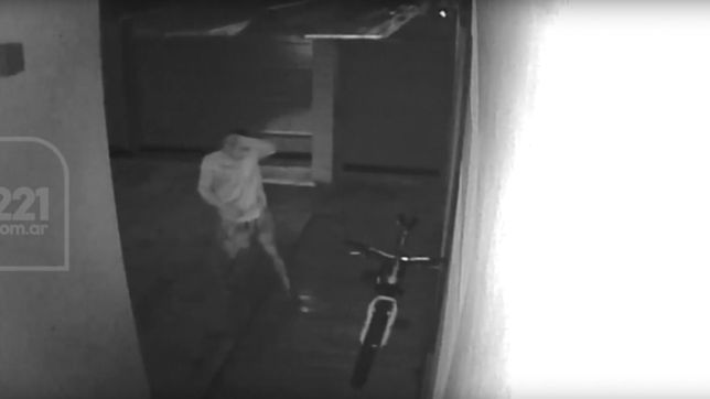 video: asi se robaron en pocos segundos una bicicleta de una casa del barrio savoia