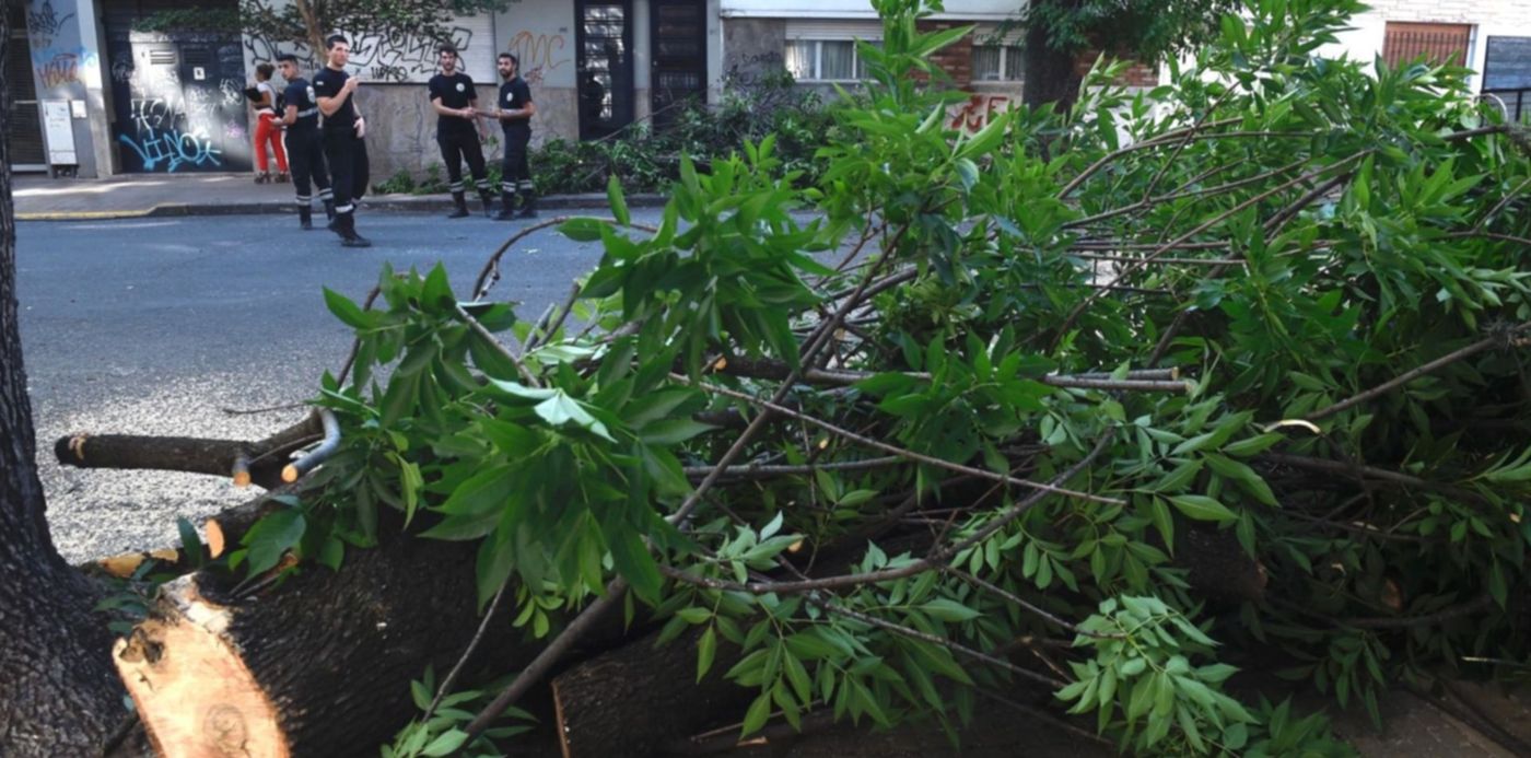 1574887973215.jpg?x=7&scaleX=1&ow=1500&y=158&width=1486&height=743&rotate=0&scaleY=1&oh=996&&cw=1920&ch=950