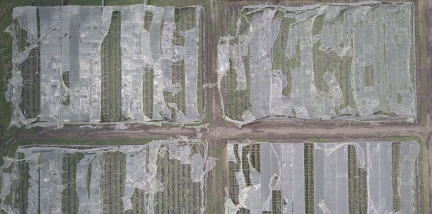 1551038496943.jpg?rotate=0&ow=1280&oh=960&x=6&width=1267&scaleX=1&scaleY=1&y=106&height=634&&cw=1920&ch=950