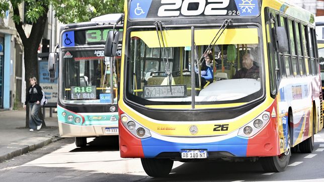 las claves del regimen de compensaciones para sostener el transporte publico en el amba