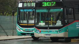 la cantidad de viajes que realizaron los micros de la plata cayo 16,7% en un ano la cantidad de viajes que realizaron los micros de la plata cayo 16,7% en un ano