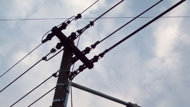 los robacables atacaron de nuevo pero los atraparon trepados a los postes