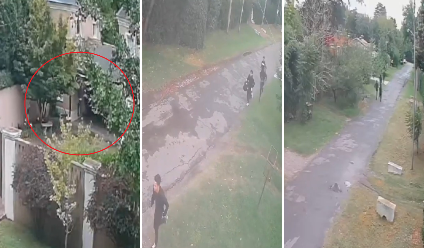 Saltamuros en Villa Elisa.png