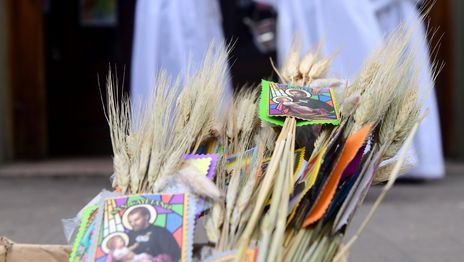 Misas, procesión y Jubileo de los Trabajadores: el cronograma completo de la celebración de San Cayetano en La Plata