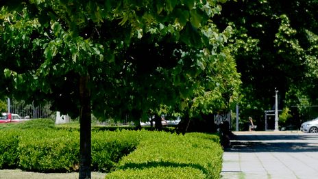 La semana sigue en La Plata con un martes húmedo, caluroso y ya sin chances de lluvias