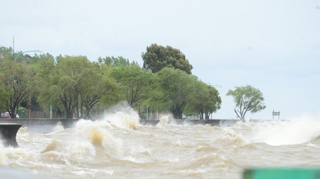 expertos alertan por una nueva crecida en el rio de la plata