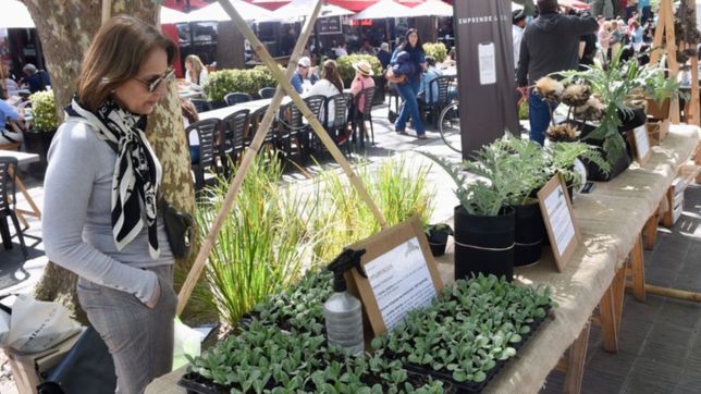 hora por ahora, todas las actividades del cierre de la fiesta del alcaucil