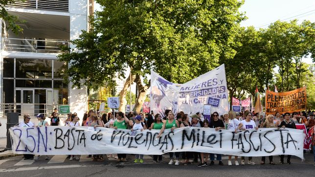 gran movilizacion en el centro de la plata por el dia de la eliminacion de la violencia contra la mujer