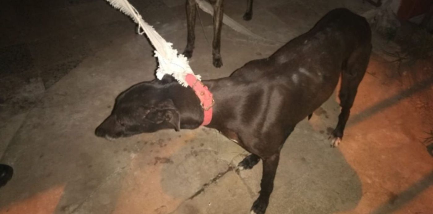 1596309075274.jpeg?x=0&y=70&width=1152&height=576&rotate=0&scaleX=1&scaleY=1&ow=1152&oh=648&&cw=1920&ch=950