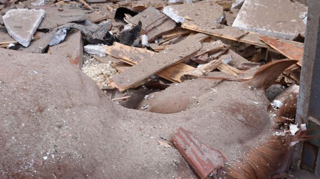 demandaran al hipodromo de la plata por la caida de una antena que mato a un caballo