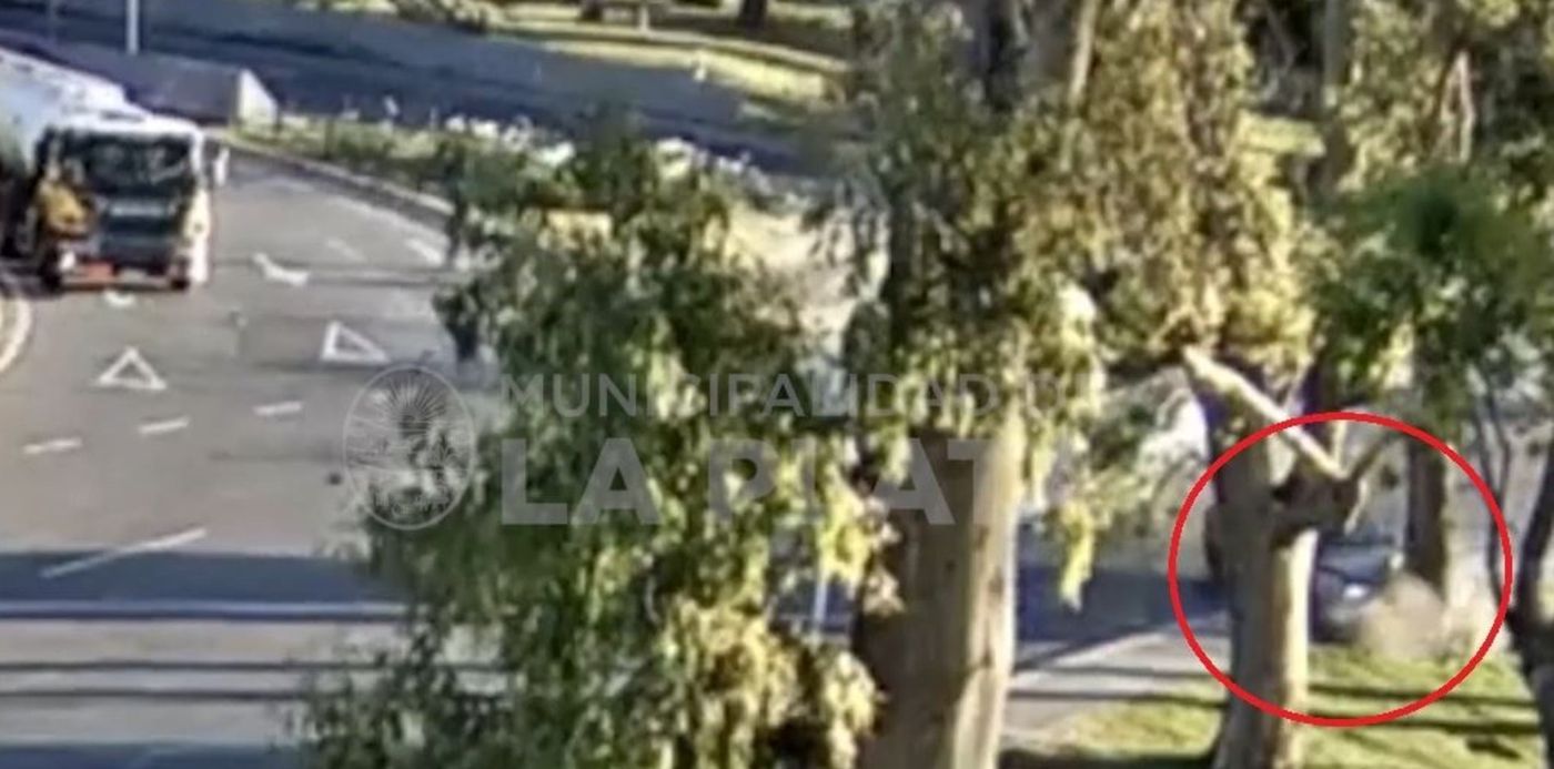 1608402691996.jpg?x=75&y=5&width=1044&height=522&rotate=0&scaleX=1&scaleY=1&ow=1119&oh=532&&cw=1920&ch=950