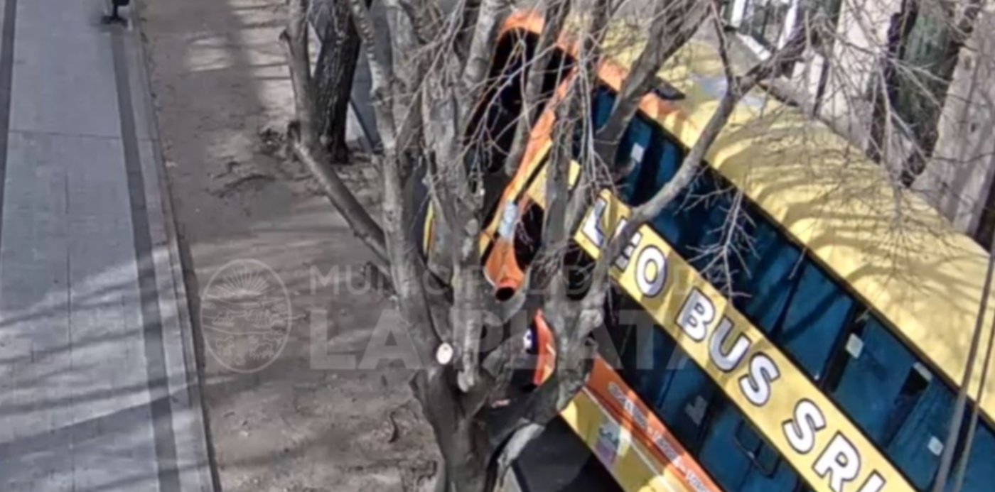 1656337418487.jpg?x=5&y=3&width=1194&height=597&rotate=0&scaleX=1&scaleY=1&ow=1200&oh=675&&cw=1920&ch=950