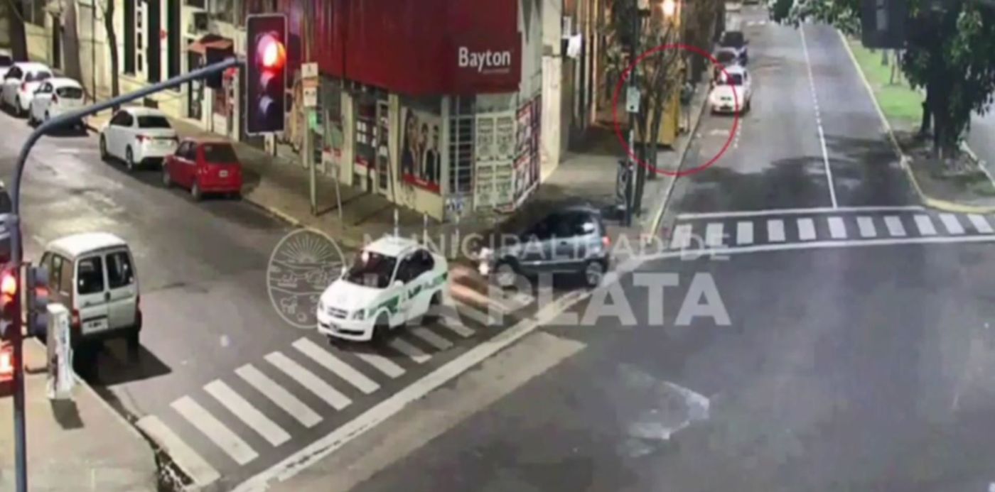 1567006789616.jpg?scaleX=1&scaleY=1&rotate=0&ow=1267&oh=645&x=6&y=0&width=1252&height=626&&cw=1920&ch=950