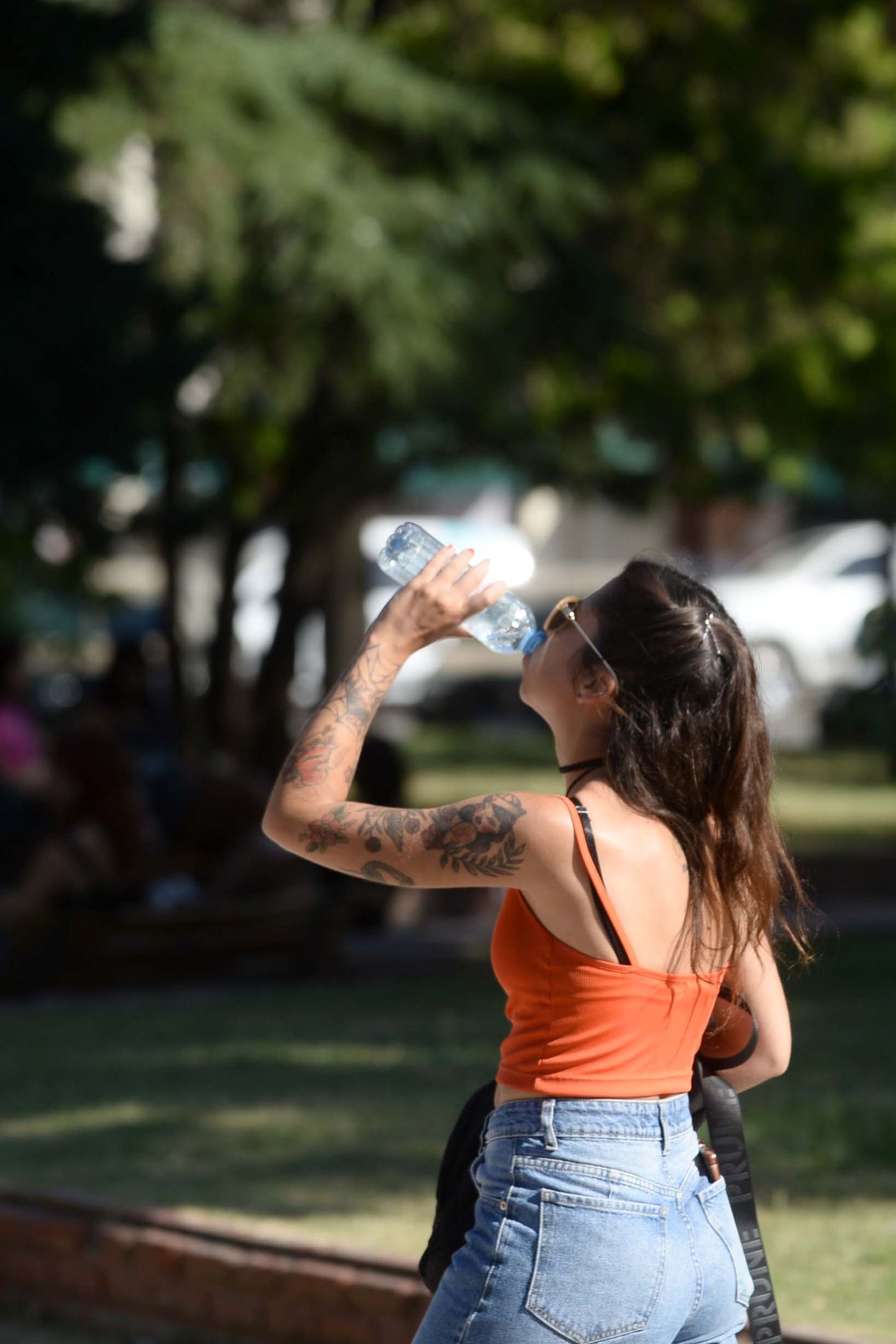 Ola de calor en La Plata (2).jpg
