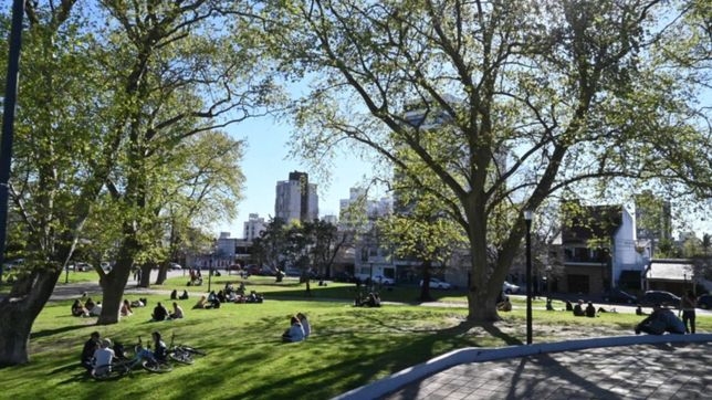 domingo agradable en la plata en la previa de una semana corta y con gran amplitud termica