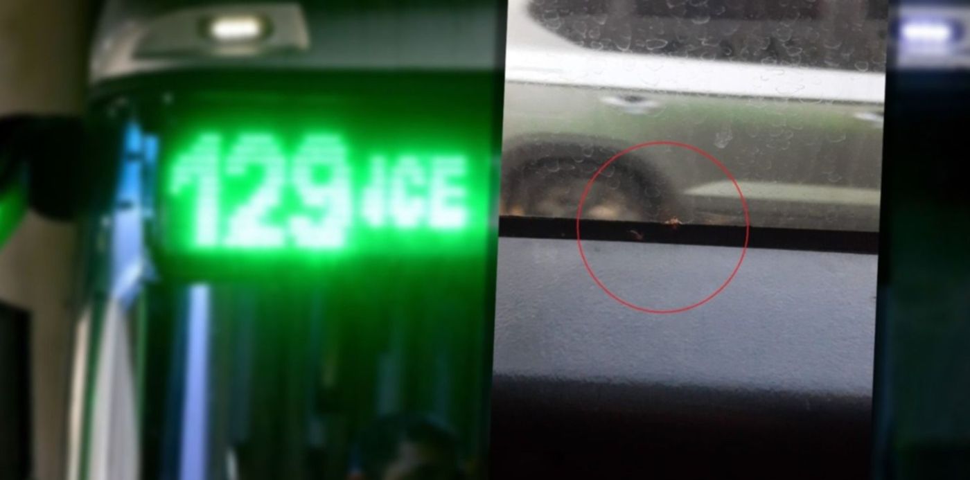 1685991778807.jpeg?x=9&y=0&width=1482&height=741&rotate=0&scaleX=1&scaleY=1&ow=1500&oh=741&&cw=1920&ch=950