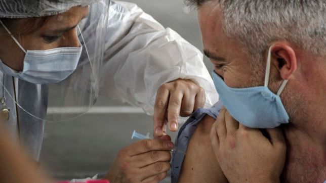 avanzan las vacunas argentinas contra el coronavirus: ¿cuales son y en que etapas estan?