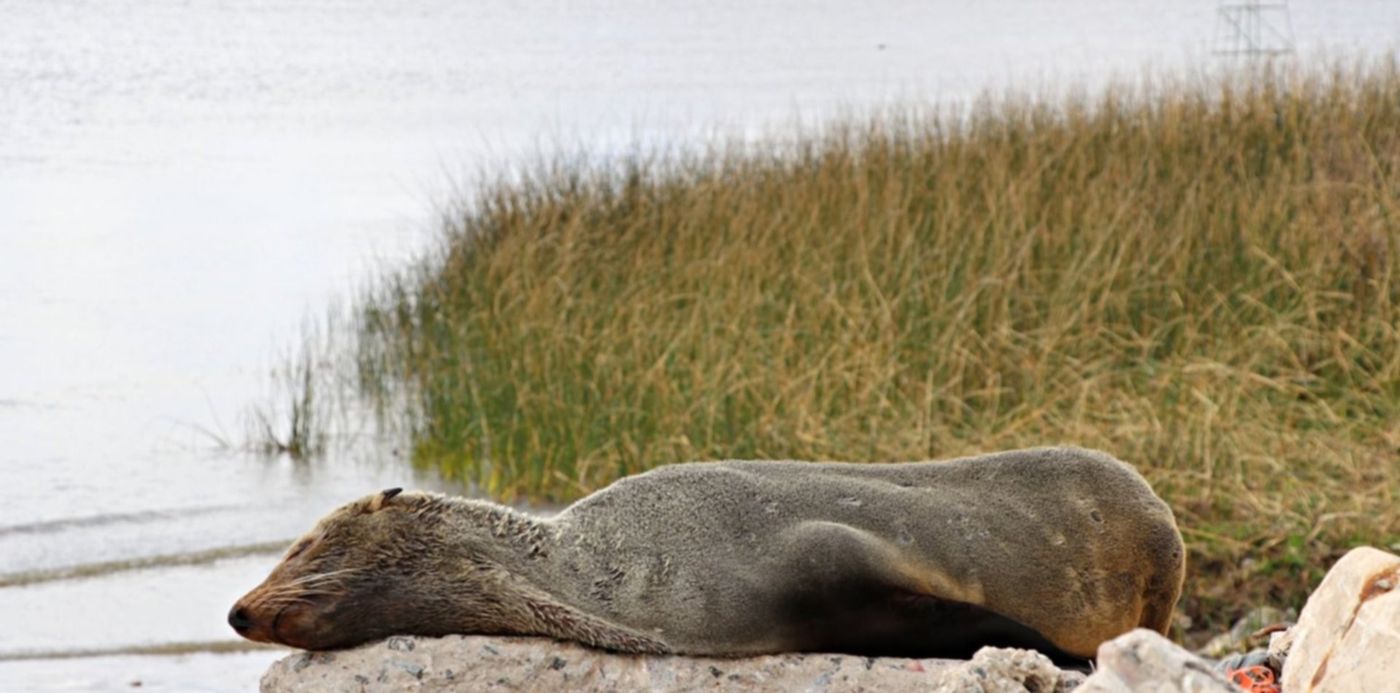 1598062394827.jpg?x=4&y=99&width=1493&height=746&rotate=0&scaleX=1&scaleY=1&ow=1500&oh=845&&cw=1920&ch=950