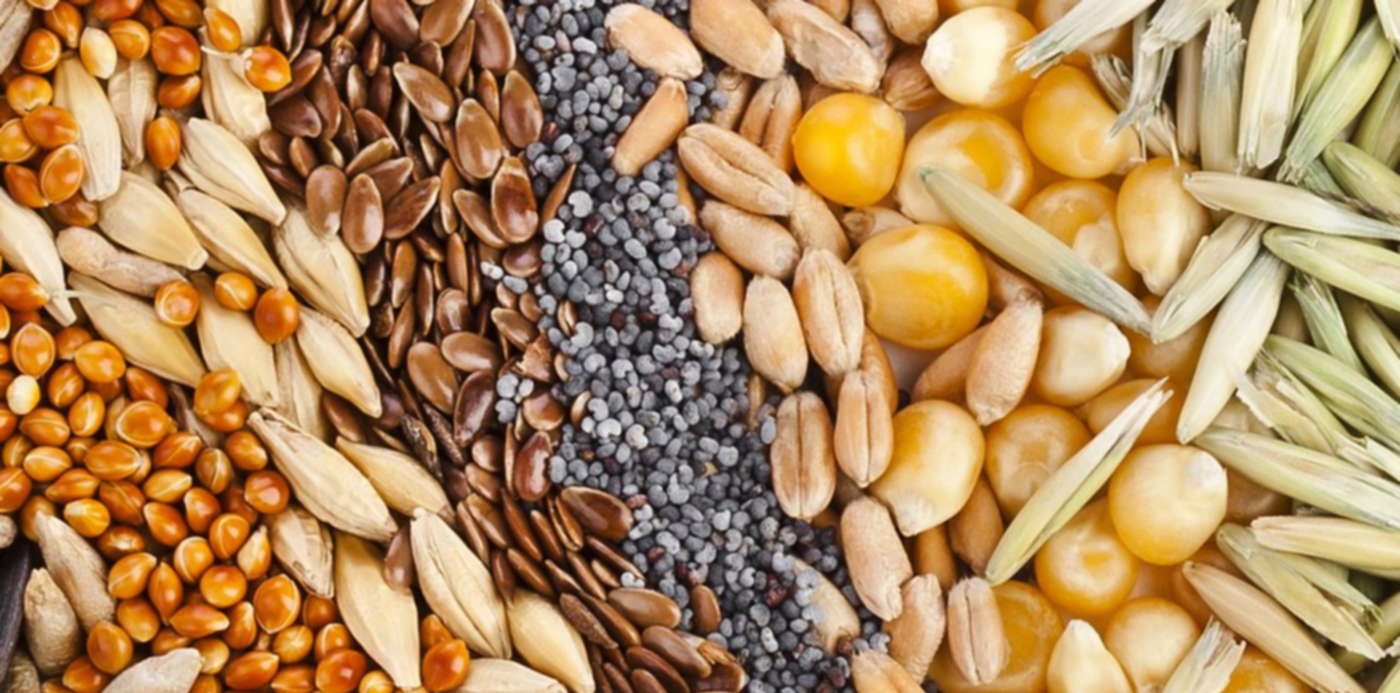 1589974053243.jpg?&cw=1920&ch=950