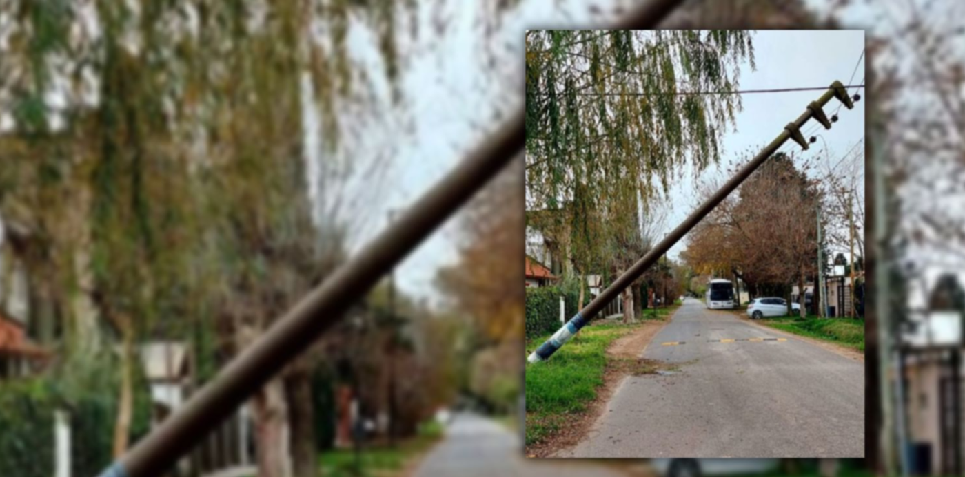 1688914331792.jpg?x=8&y=0&width=1484&height=742&rotate=0&scaleX=1&scaleY=1&ow=1500&oh=742&&cw=1920&ch=950