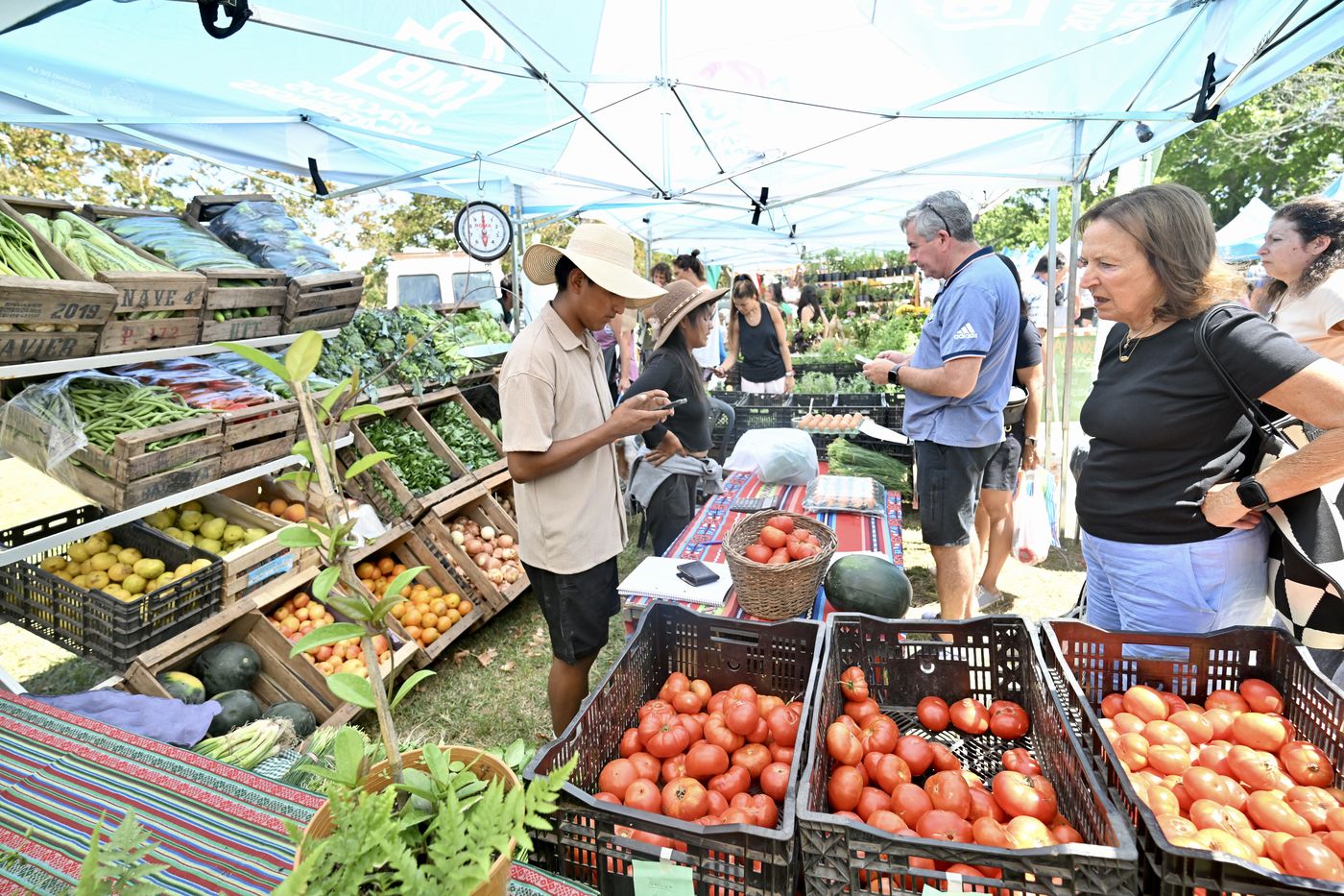 fiesta del tomate platense 2026 (5)