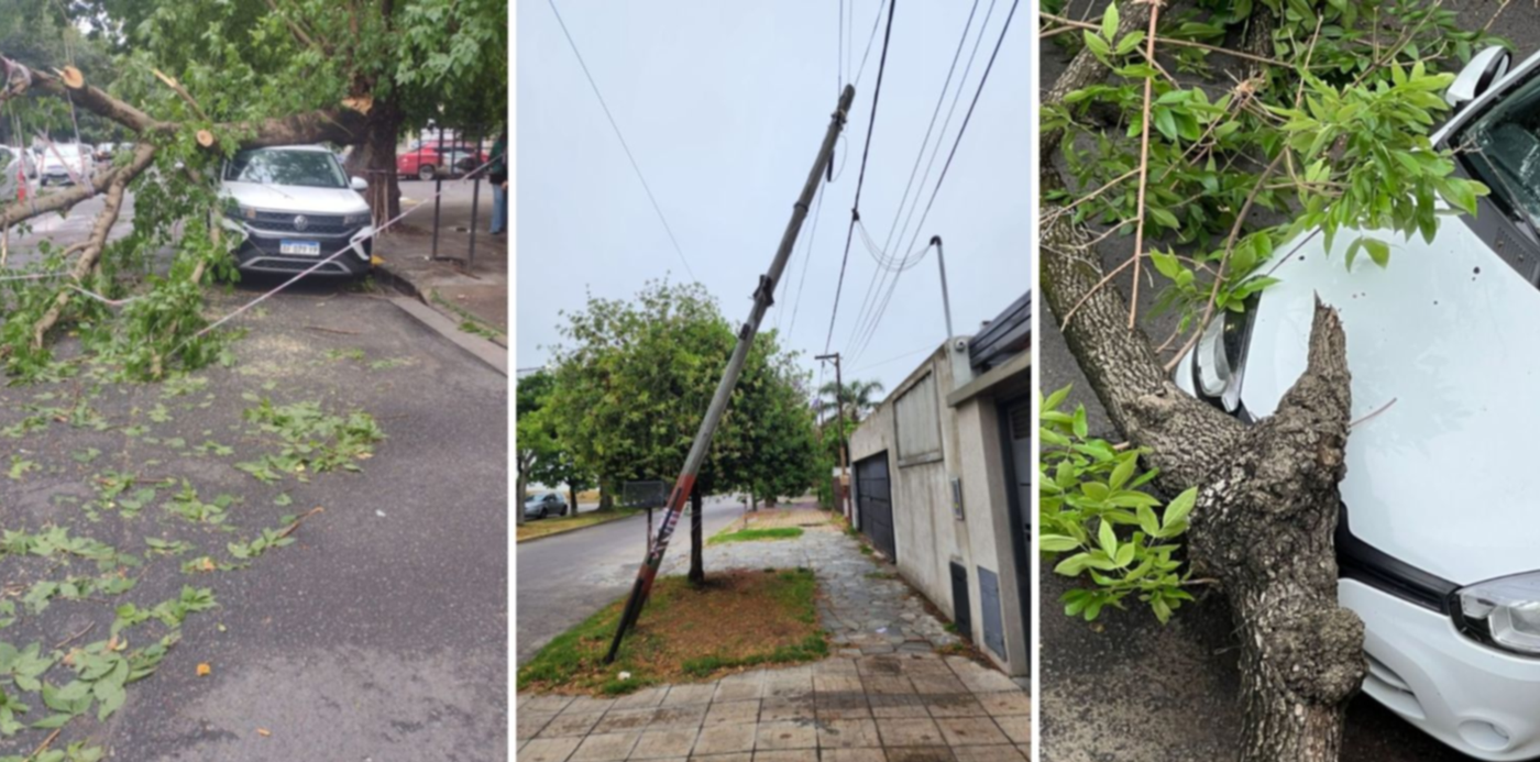 1669927544048.jpg?x=6&y=0&width=1481&height=741&rotate=0&scaleX=1&scaleY=1&ow=1500&oh=742&&cw=1920&ch=950