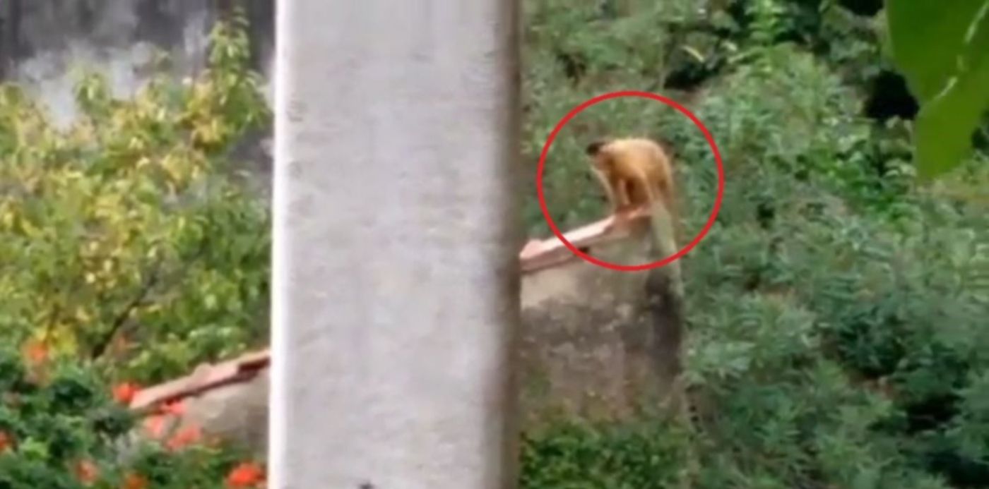 1618089823837.jpg?x=0&y=3&width=1147&height=574&rotate=0&scaleX=1&scaleY=1&ow=1147&oh=630&&cw=1920&ch=950