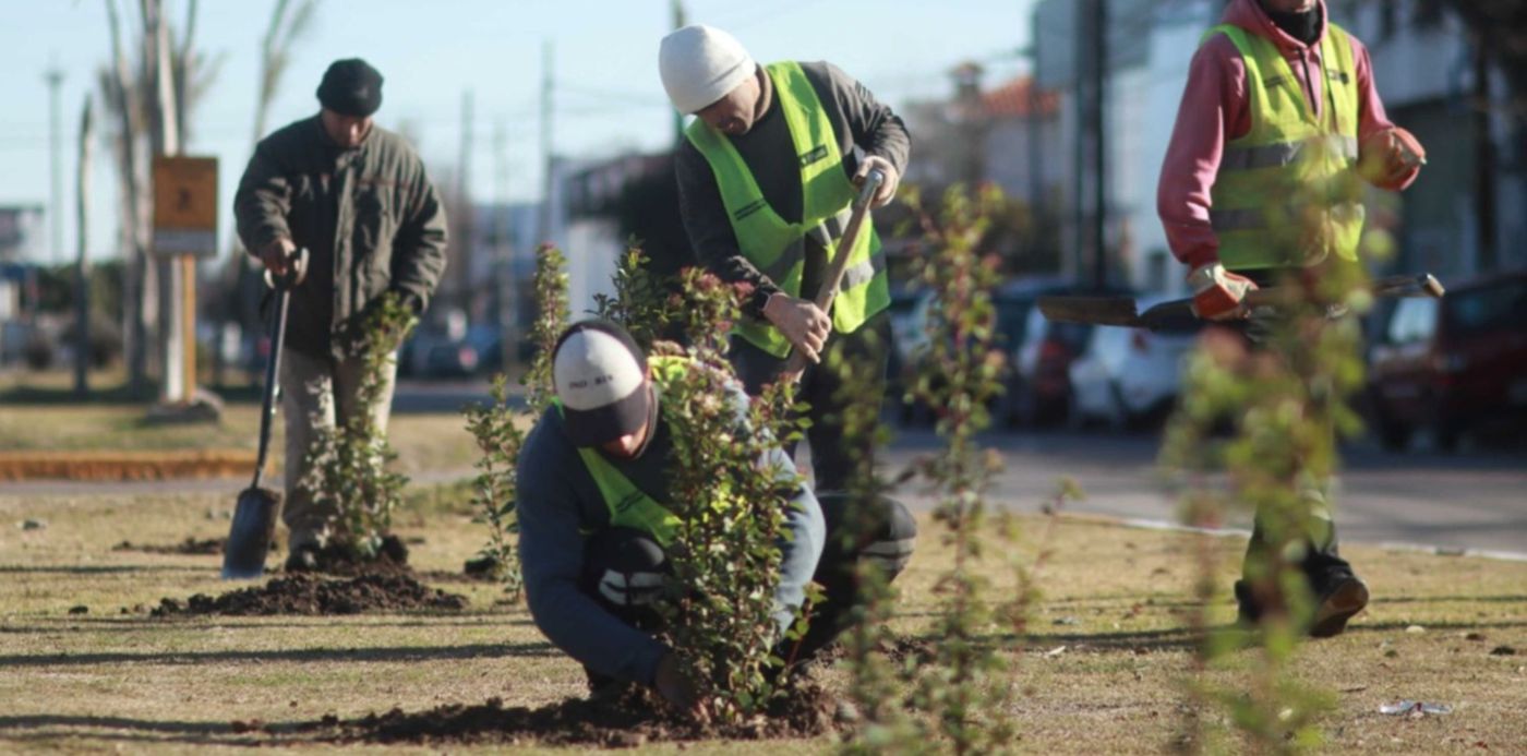 1660937747546.jpg?x= 30&y=187&width=1540&height=770&rotate=0&scaleX=1&scaleY=1&ow=1500&oh=1000&&cw=1920&ch=950